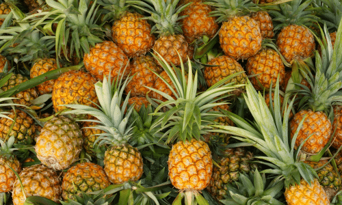 Pineapple can boost your immunity - learn more at McIvor Marketing