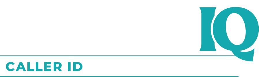 IdentifIQ - It's like Caller ID for Your Website by McIvor Marketing