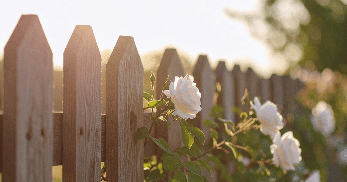 The Dave’s Fence Effect How Automotive Dealers Can Win the Mindshare Game